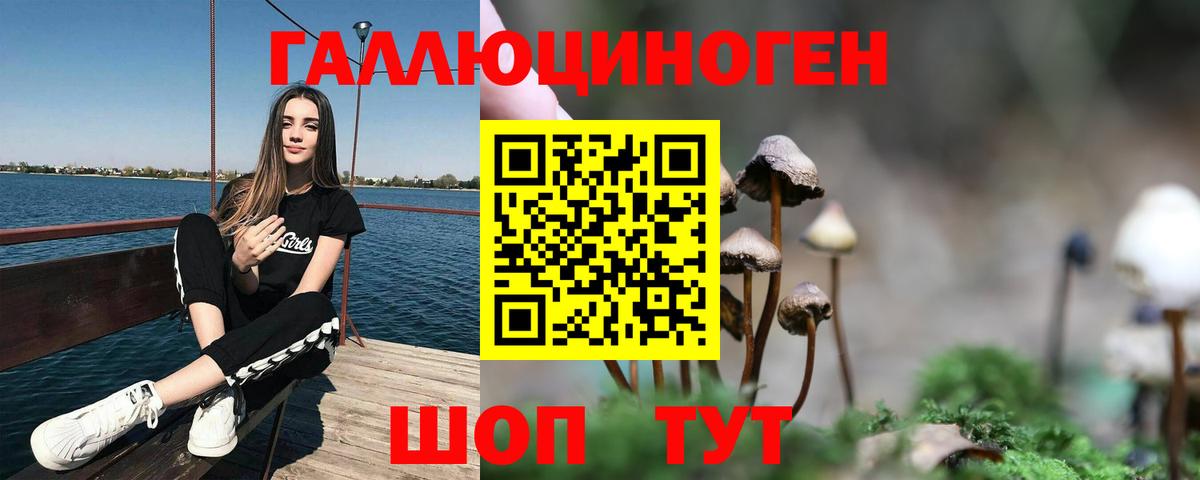 Псилоцибиновые грибы Psilocybe Бутурлиновка