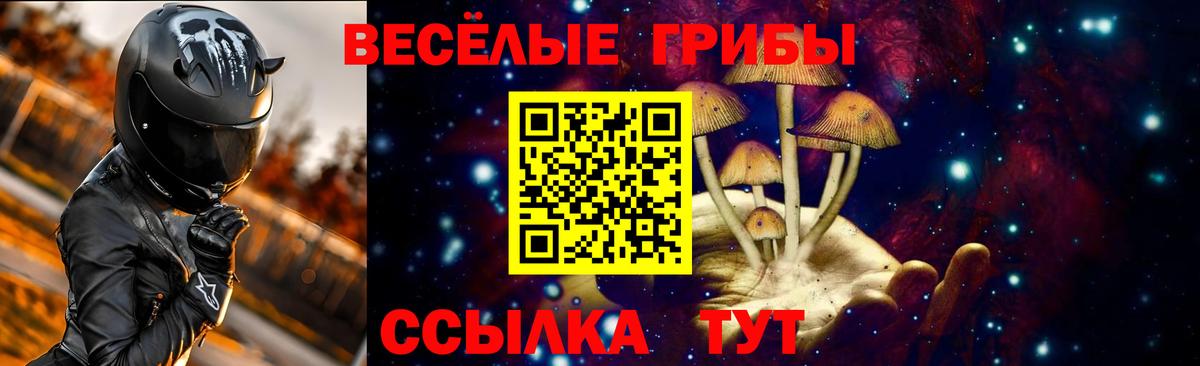 Псилоцибиновые грибы Psilocybine cubensis  Вход с VPN  Бутурлиновка 
